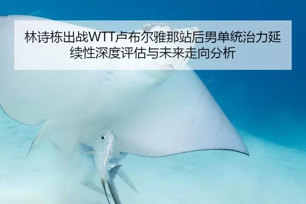 林诗栋出战WTT卢布尔雅那站后男单统治力延续性深度评估与未来走向分析