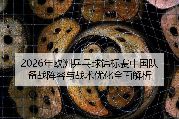 2026年欧洲乒乓球锦标赛中国队备战阵容与战术优化全面解析