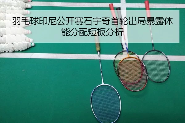 yu-mao-qiu-yin-ni-gong-kai-sai-shi-yu-qi-shou-lun-chu-ju-bao-lu-ti-neng-fen-pei-duan-ban-fen-xi-2-286.jpg